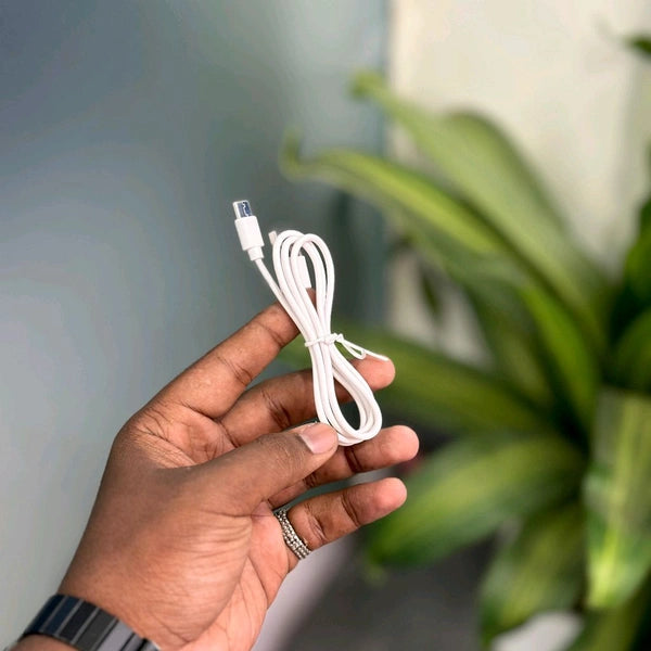 Rechargeable Lightning Panda