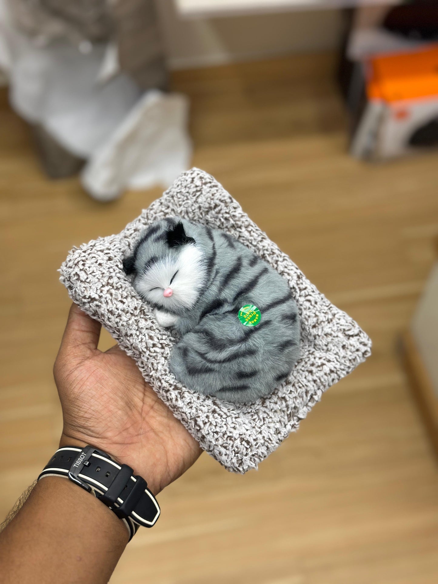 Sleeping Cat Plush Showpiece