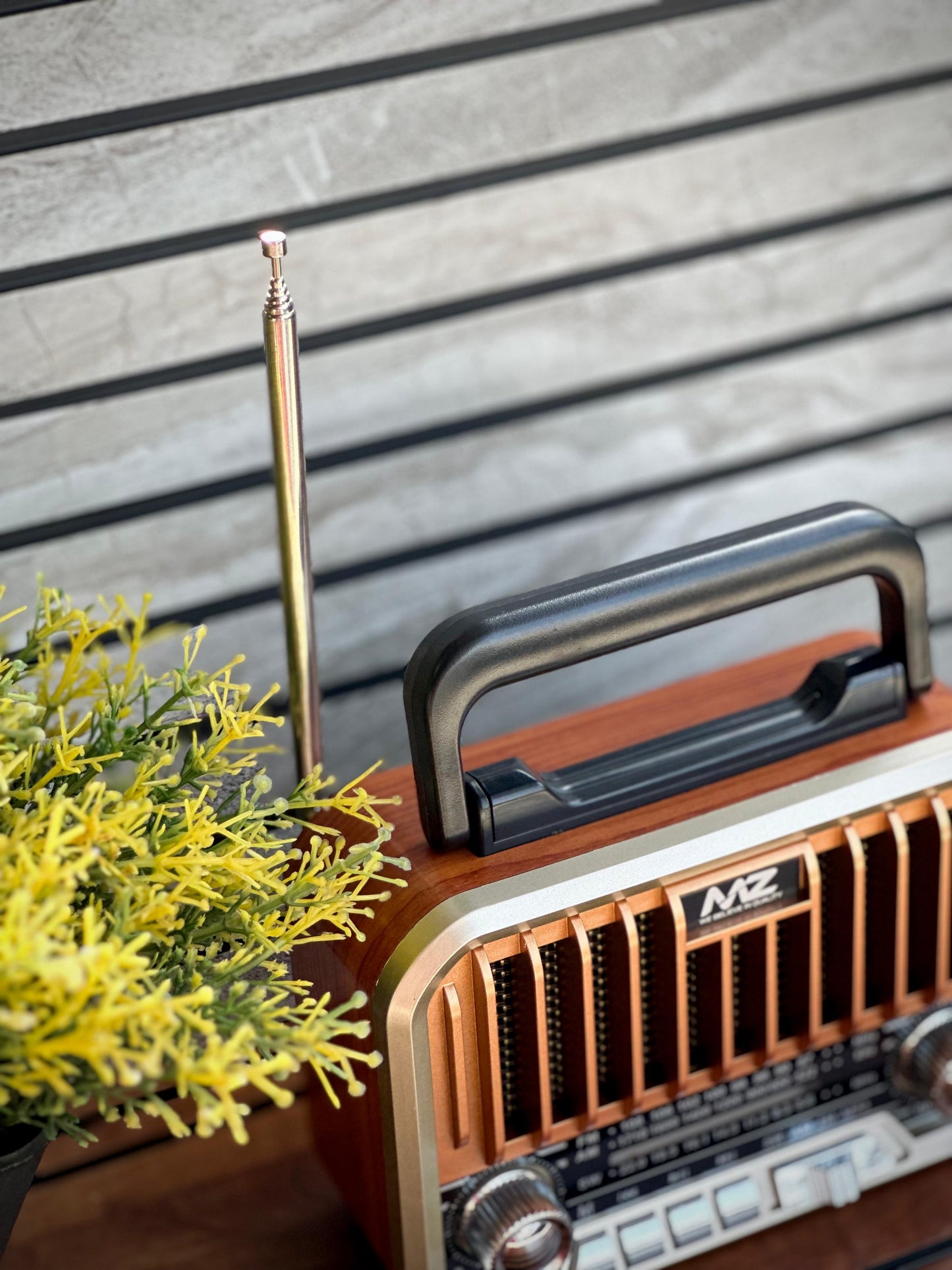 MZ Series Retro Radio Speaker (S666)
